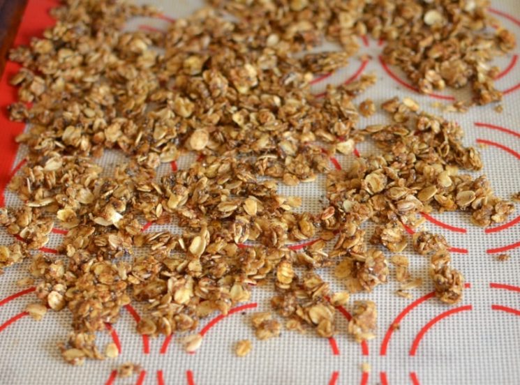 5 Minute Pumpkin Chia Coconut Granola Recipe. Homemade Chia Granola - in 5 minutes!